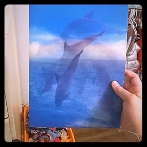 This Is a dolphin from folder